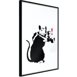 Arkiio Affisch Rat Photographer [Poster] 40x60 Poster